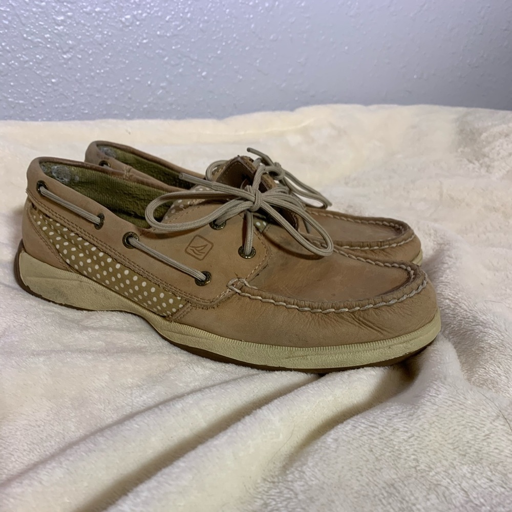 Polka Dot Speery’s